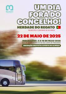Dia Fora Do Concelho