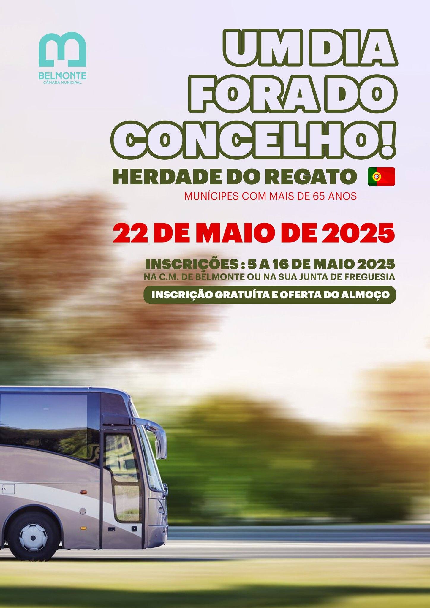 Dia Fora Do Concelho