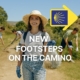 New Footsteps On The Camino