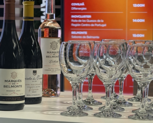 620056804 1321054503389023 1233821336530039357 N