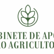 631478369 901364882436033 3050984895129878024 N