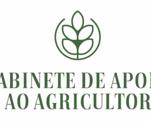 631478369 901364882436033 3050984895129878024 N