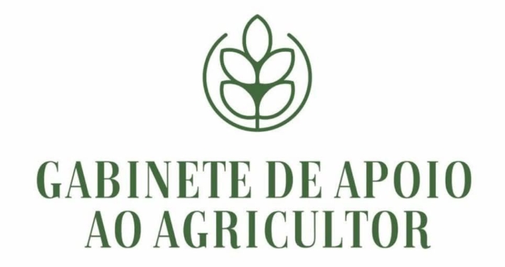 631478369 901364882436033 3050984895129878024 N