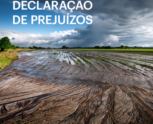 DeclaraÇÃo PrejuÍzos Caledario