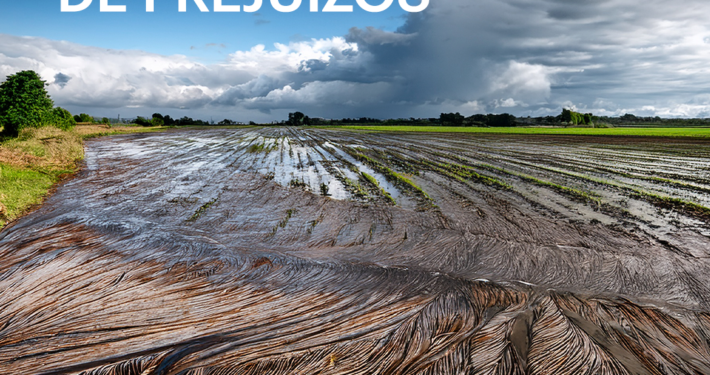 DeclaraÇÃo PrejuÍzos Caledario