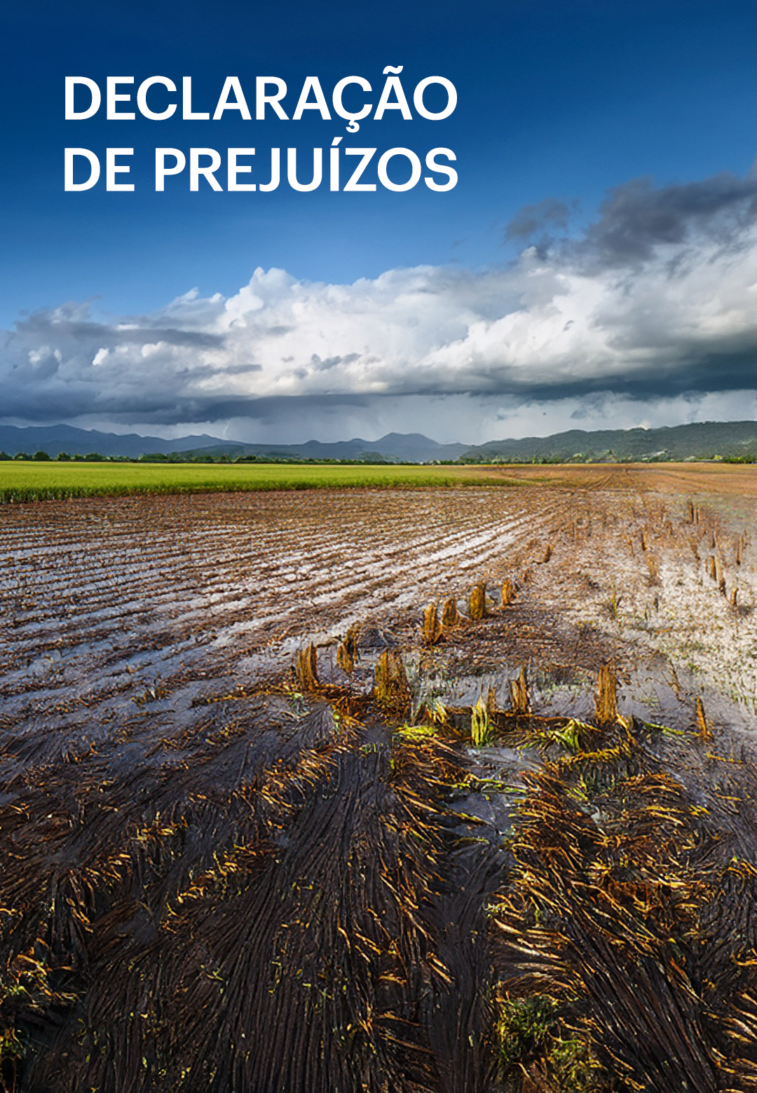 DeclaraÇÃo PrejuÍzos Header Mobile