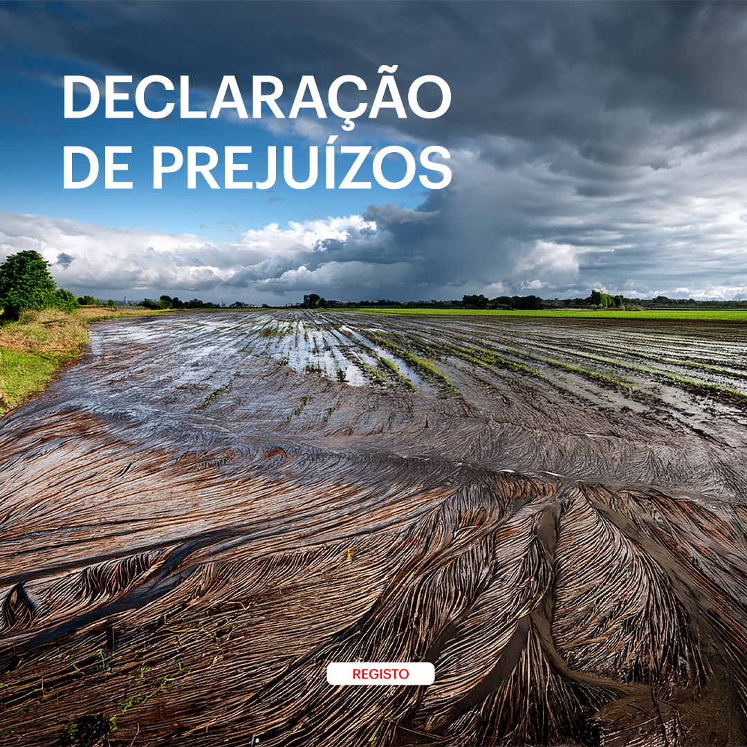 DeclaraÇÃo PrejuÍzos Slider Mobile