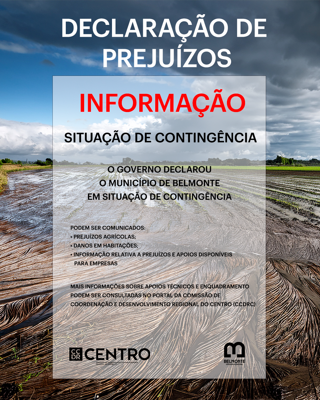 DesclaraÇÃo De Prejuizos Facebook Post