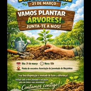 Dia Da Árvore Aj Maçainhas