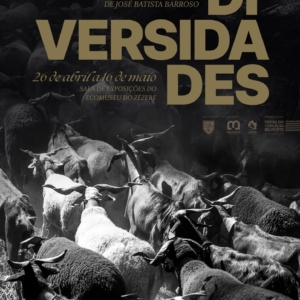 Exposição Diversidades De José Batista Barroso