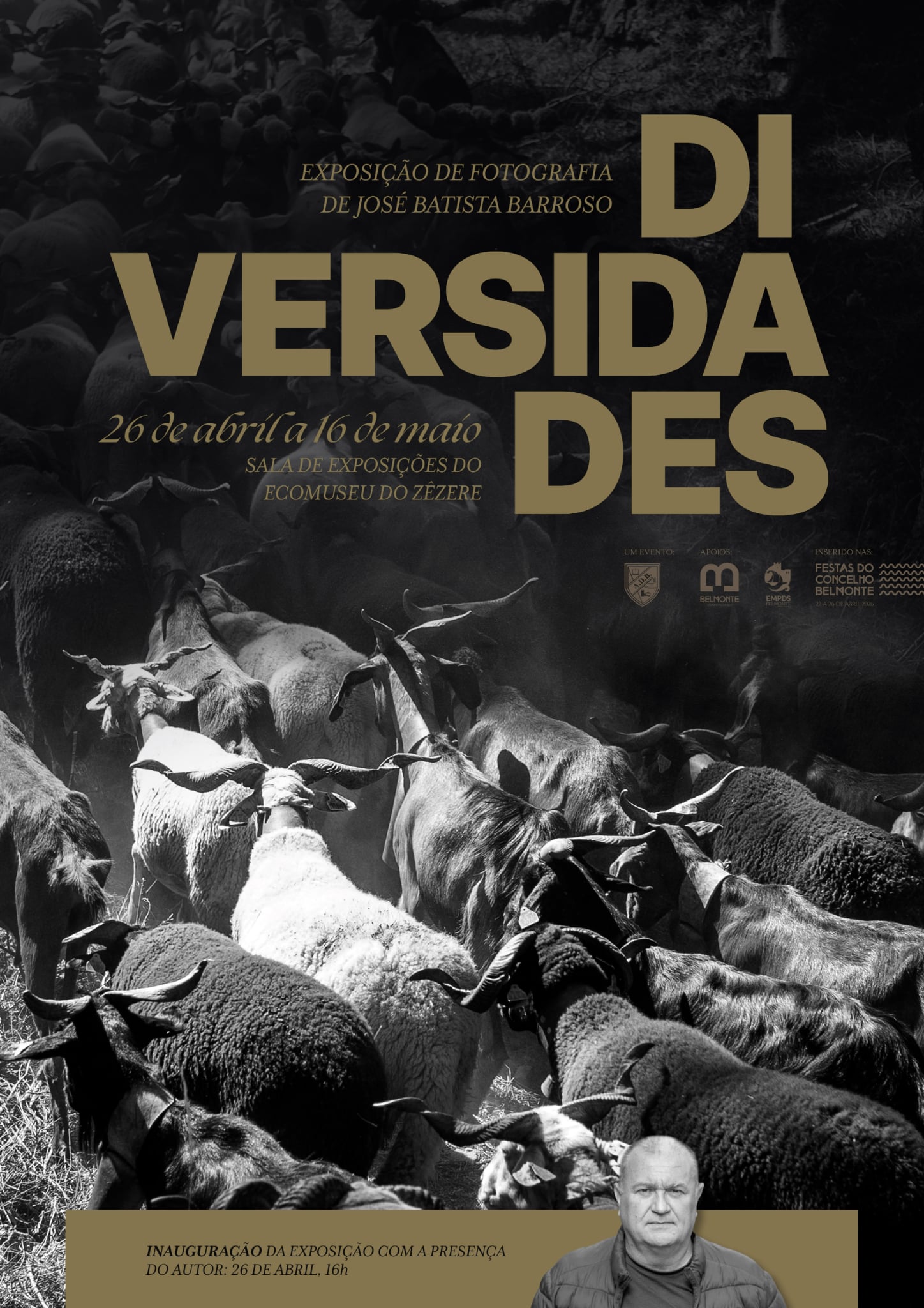 Exposição Diversidades De José Batista Barroso