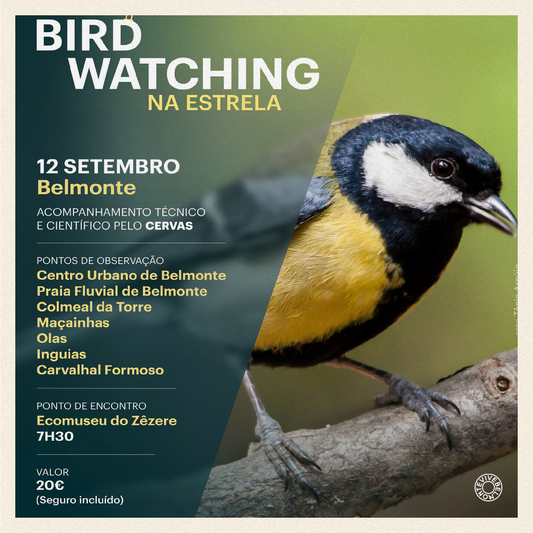 Agenda Nova
