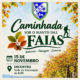 Caminhada Sob Manto Das Faias Adb