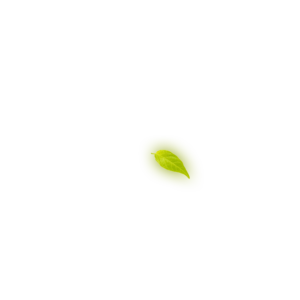 Leaf 1