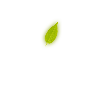 Leaf 3